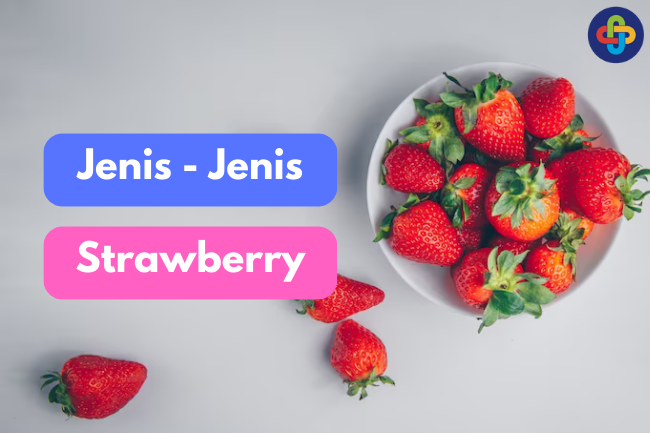 Ragam Jenis Strawberry: Mengenal Berbagai Varian Buah Strawberry di Indonesia